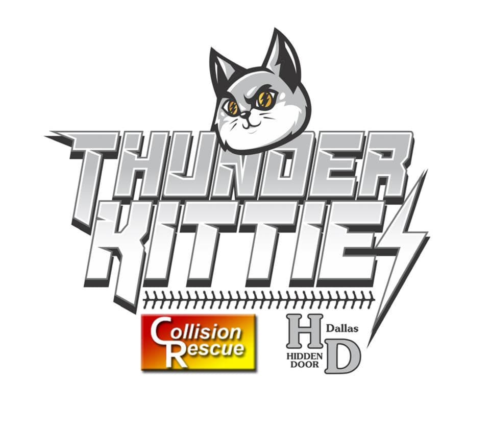 Thunder Kitties Softball Team